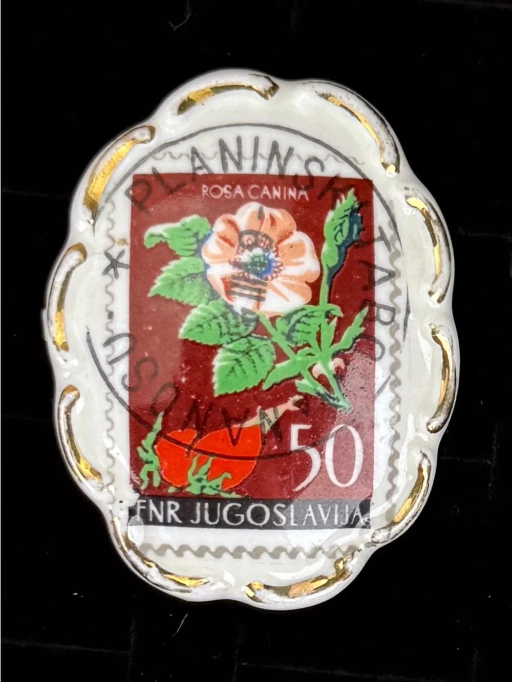 Vintage Yugoslavia Rosa Canina Postage Stamp Botanical Brooch Dual Prong